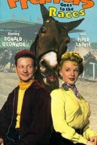 Френсис на скачках (1951)