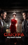 Сакура. Иц май лайф