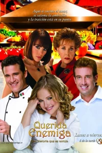 Дорогой враг (2008)