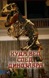 Куда вел след динозавра (1987)