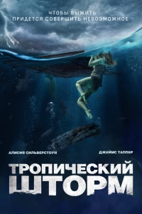 Тропический шторм (2022)