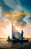 Арахисовый сокол