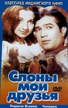 Слоны — мои друзья