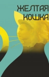 Желтая кошка