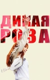 Дикая Роза