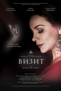 Визит (2013)