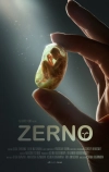 Зерно