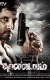 Слепой (2012)