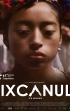 Вулкан Ишканул (2015)