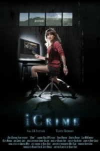 Преступление по интернету (2010)