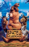 Братец медвежонок