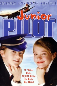 Младший пилот (2004)
