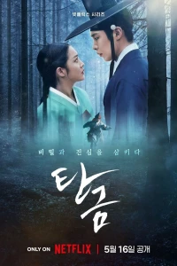Tangeum (2025)
