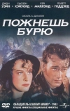 Пожнешь бурю