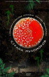 Страна мухоморов (2009)