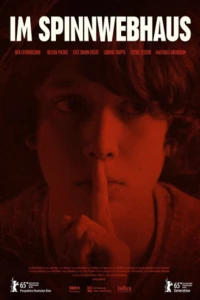 В доме из паутины (2015)