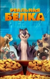 Реальная белка
