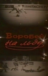 Воробей на льду