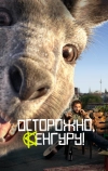 Осторожно, Кенгуру!
