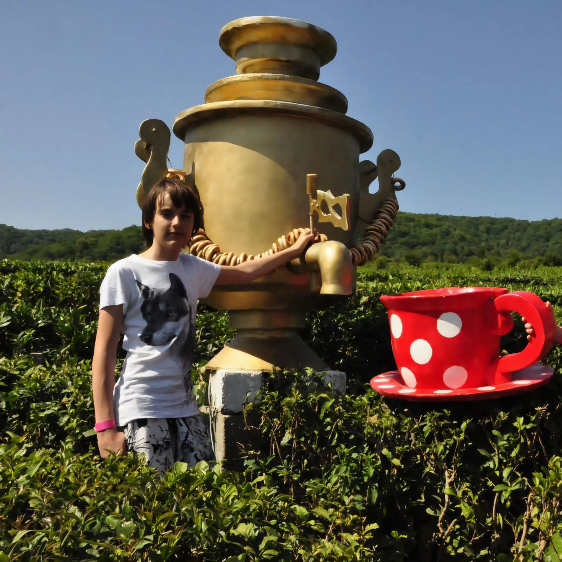 Второе изображение экскурсии