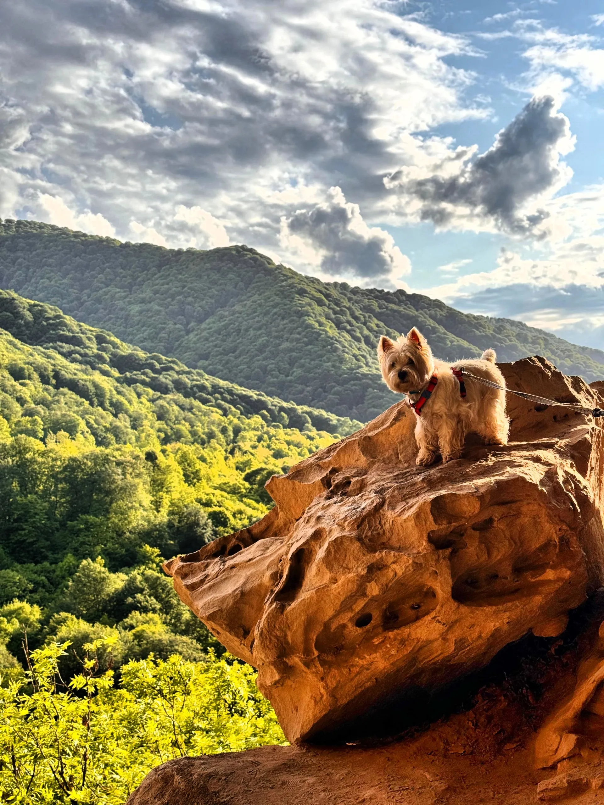 Главное изображение экскурсии