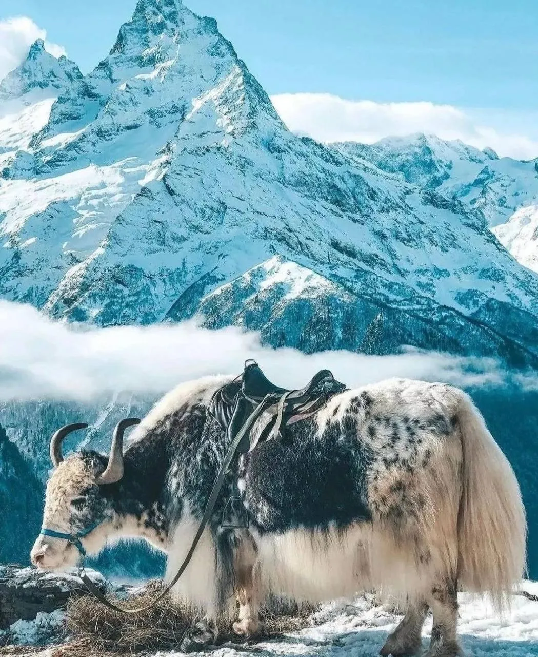 Второе изображение экскурсии