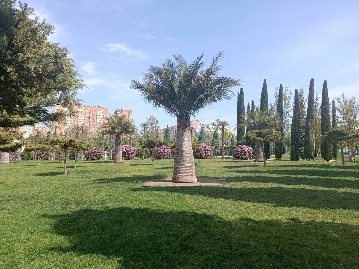 Второе изображение экскурсии