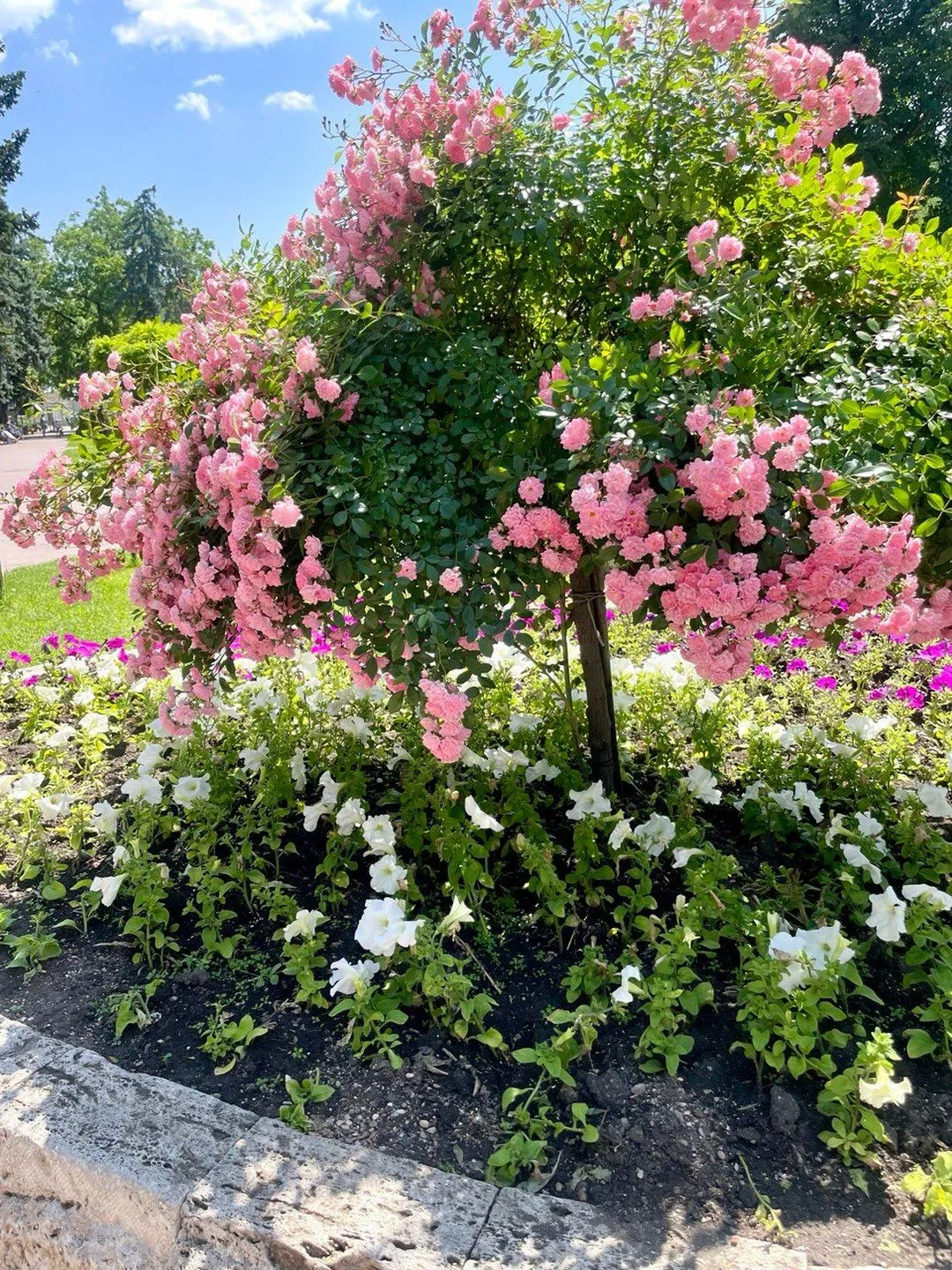 Второе изображение экскурсии