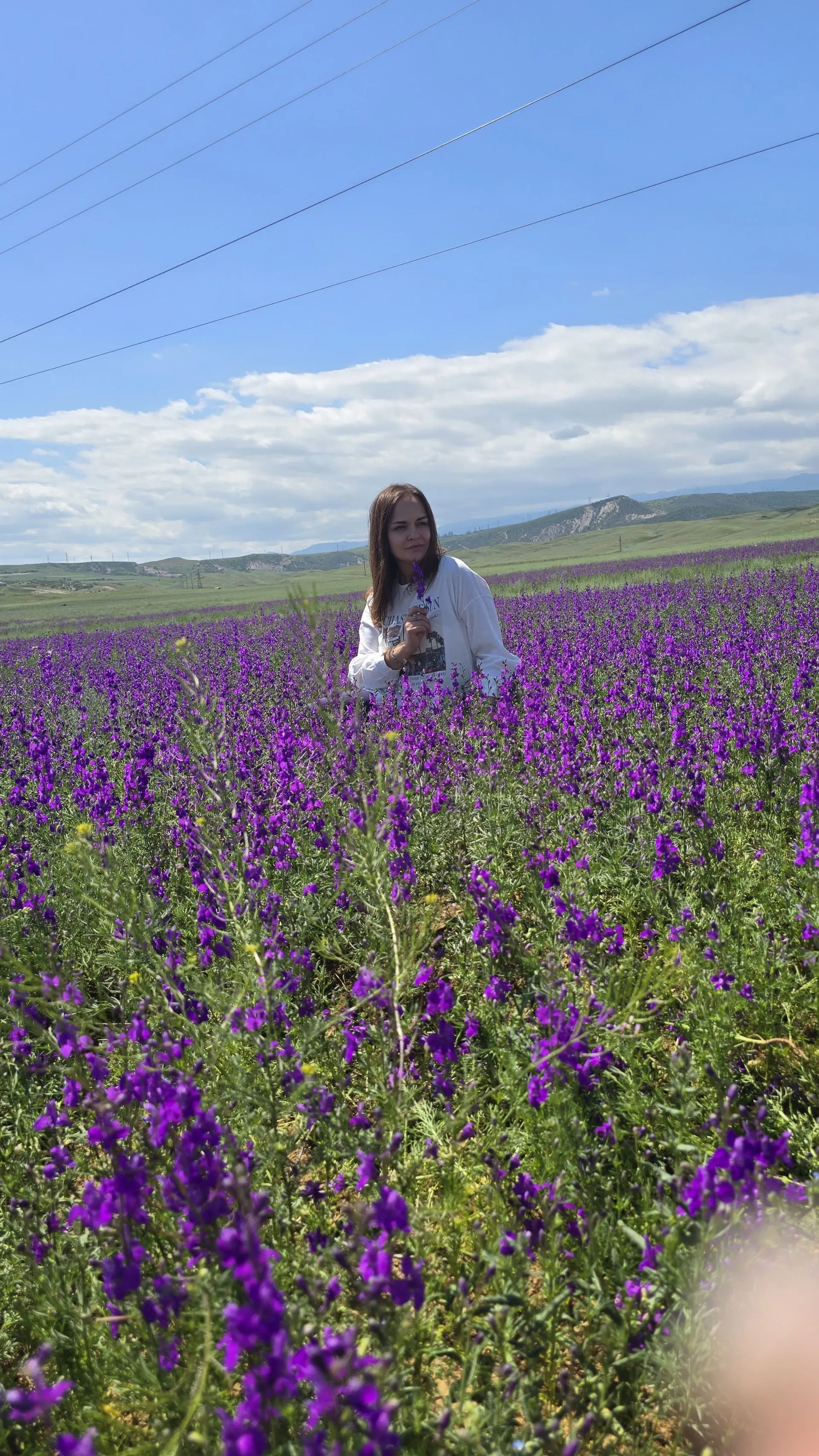 Главное изображение экскурсии