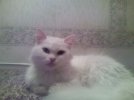 Photo-0101.jpg