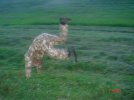 DSC03657_resize.JPG
