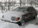 IMG_0036.jpg