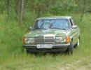 DSC00132.JPG