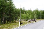 norway 215.jpg