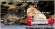 ATT00068.jpg