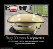 калина.jpg