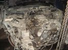 DSC05307-1.jpg
