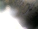 2020-05-08_20-38-12-97.jpg