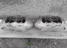 20200816_073616.png