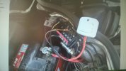 WP_20160805_001.jpg