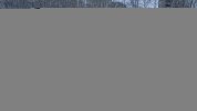 IMG_4652.jpeg