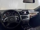 IMG_4231.jpeg