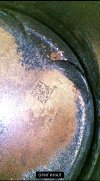 IMG_4563.jpeg