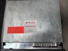 IMG_1910.jpeg