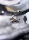 IMG_3854.jpeg