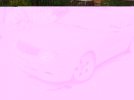 DSC08644.JPG