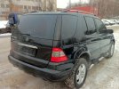 IMG_0379_3.jpg