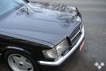 10052172b.jpg