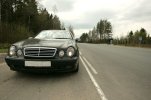 IMG_1795.jpg