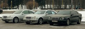 IMG_2448.jpg